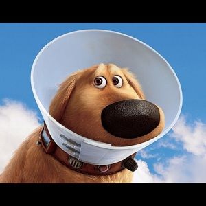 Meet your Posher, Paul